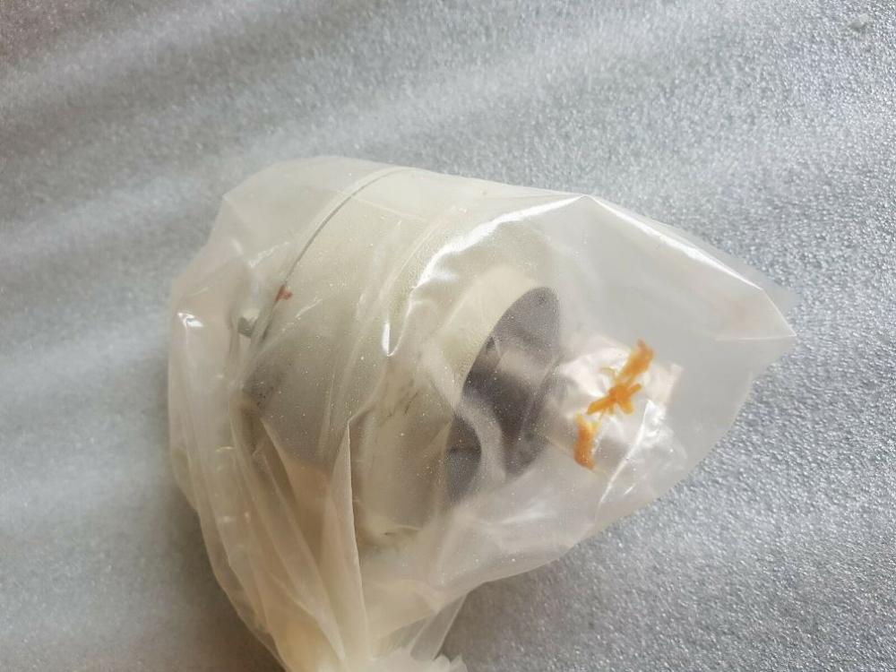 Магнитная порошковая муфта привода ZKB-0.3AN