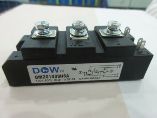 IGBT DM2G100SH6A